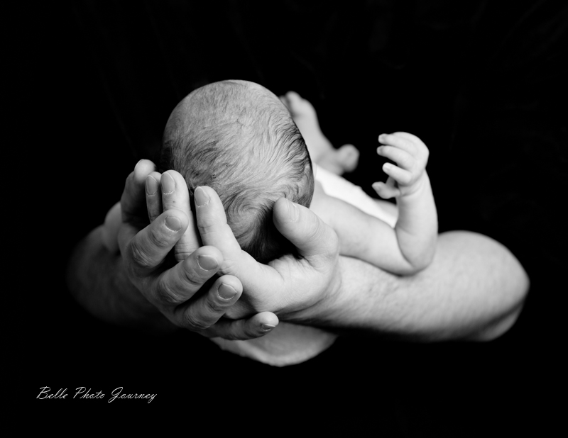 Newborn Photography Styles Bellephotojourney